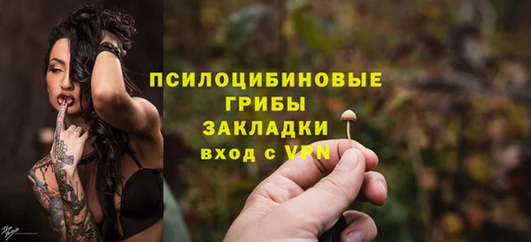 дмт Верея