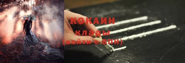 дмт Верея