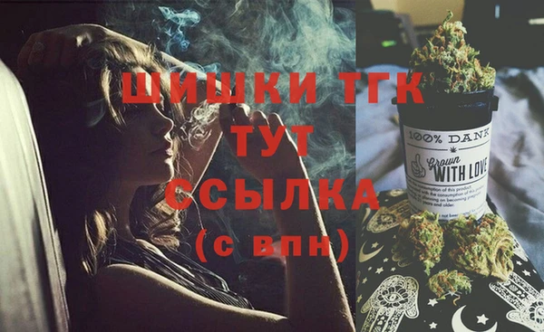 мдпв Володарск