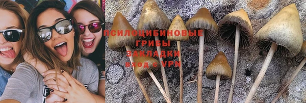 таблы Волосово