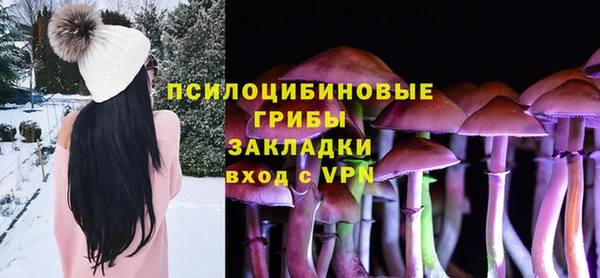 мдпв Володарск