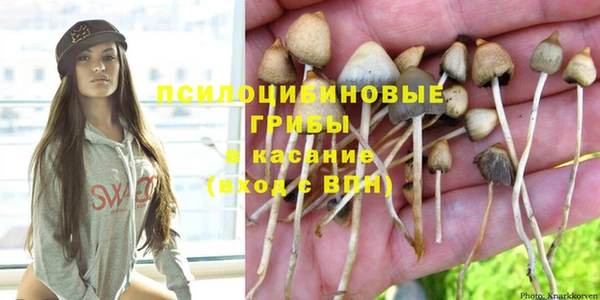 дмт Верея