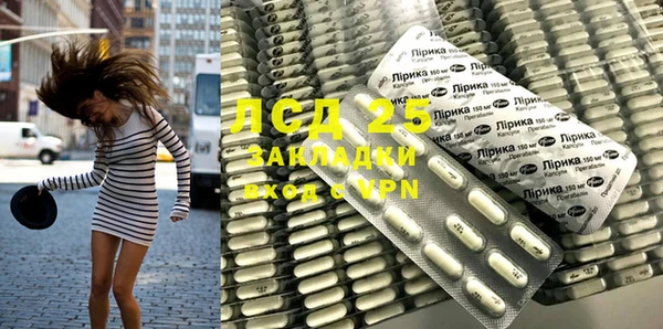 дмт Верея